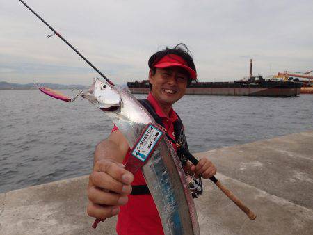 ZZ-STAP&ワインド&…